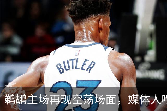鹈鹕主场再现空荡场面，媒体人呼吁球队迁移